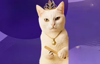 UBS Veterinária de Caieiras mantém vacinação antirrábica gratuita para cães e gatos o ano todo