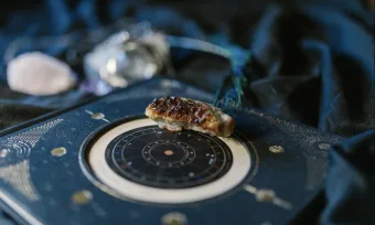 Horóscopo do dia 14 de agosto: Sol em Câncer e Lua em Peixes inspiram mudanças e revelações