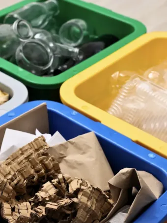 Orgânico reciclável rejeito: a regra simples que evita perder material