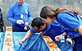 Caieiras intensifica combate à dengue com visitas diárias, fiscalização e fumacê estratégico