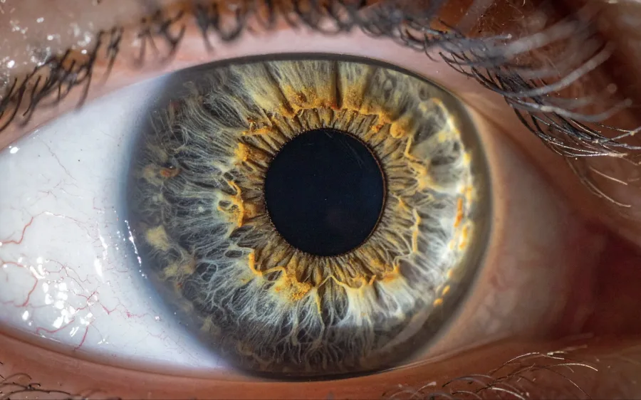 O avanço ocorre em um contexto preocupante: bots sofisticados e identidades sintéticas já ocupam grande parte do tráfego online. Provar que você é humano virou desafio técnico real para bancos, plataformas e governos.