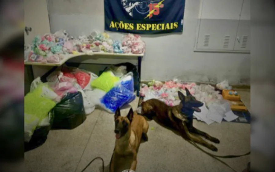 BAEP apreende quase 11 kg de drogas e prende dois suspeitos em casa usada como ponto de tráfico em Francisco Morato