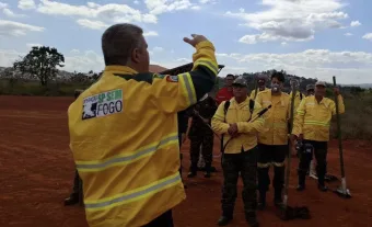Como se inscrever nas 243 vagas de brigadistas do Governo de SP, quem pode participar e onde ficam as unidades como Parque Estadual do Juquery, Cantareira e Campos do Jordão
