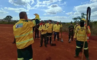 Parque Estadual do Juquery abre 243 vagas para brigadistas com salários de até R$ 4.052,50 em Franco da Rocha