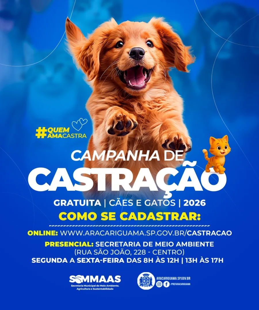 Programa municipal oferece vagas para cães e gatos em 2026