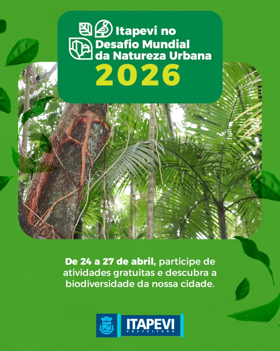 Quem quiser ir além pode usar o aplicativo iNaturalist, ferramenta usada no mundo todo para mapear espécies e organizar informações.