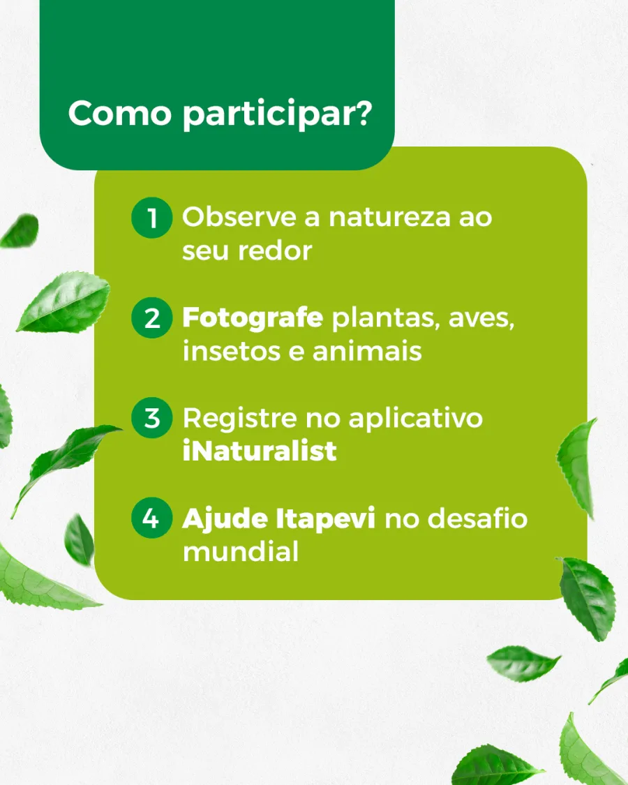 A proposta não é passeio qualquer. O desafio pede que o morador pare, observe e registre o que costuma passar batido no dia a dia.