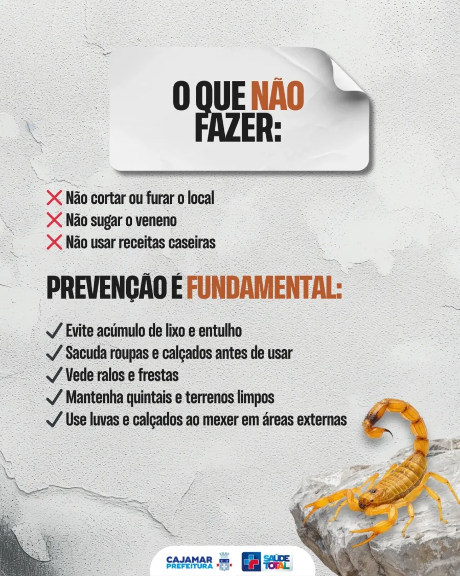 Picada de animal peçonhento: Cajamar alerta para riscos e cuidados