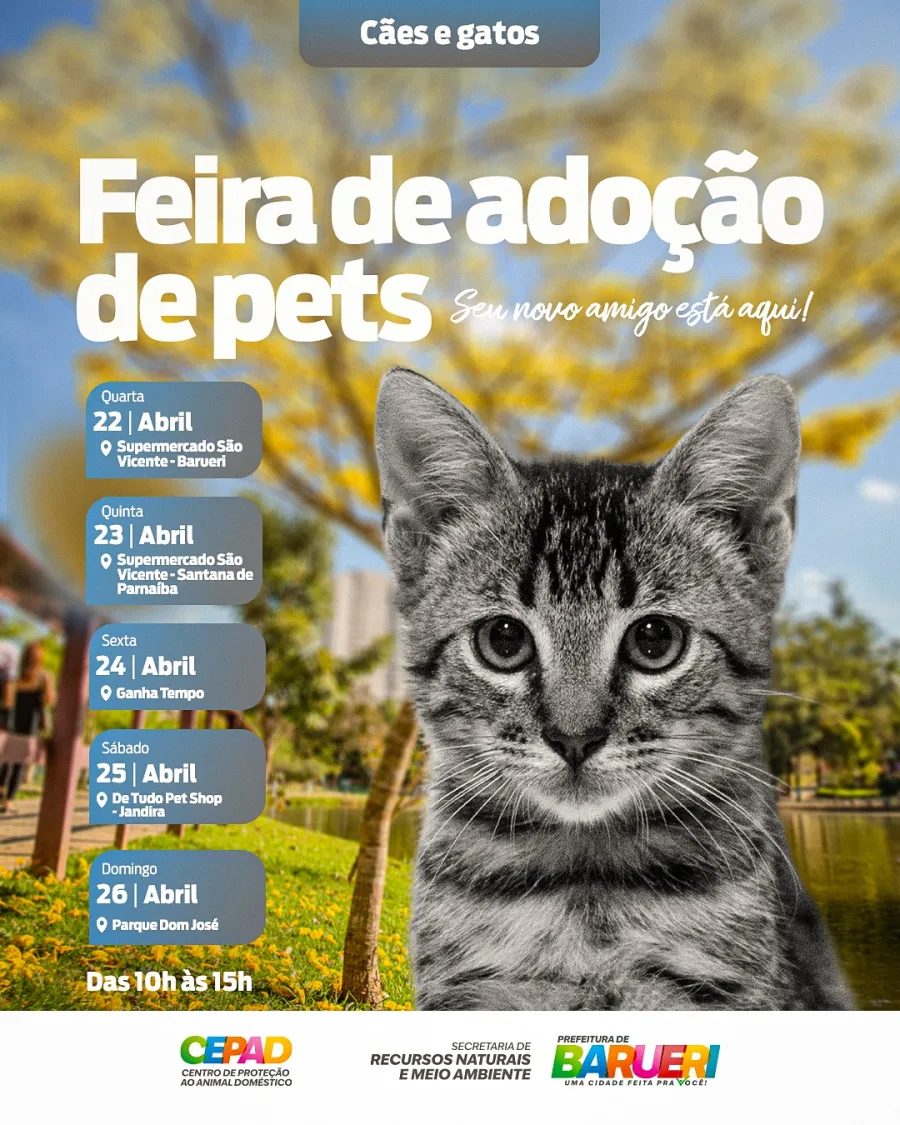 Feira de adoção de pets em Barueri percorre diferentes locais e incentiva novos lares