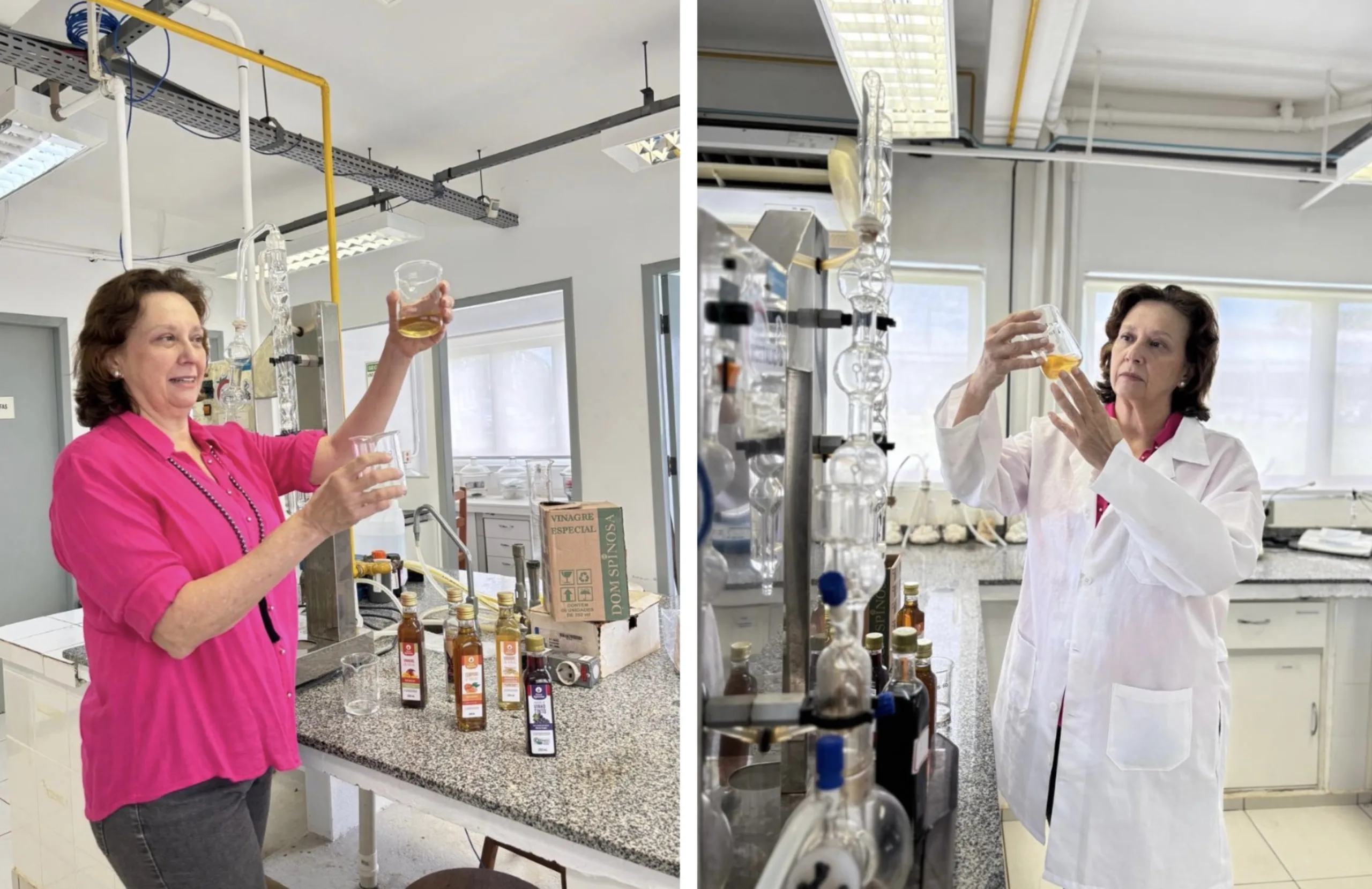 Vinagres de kiwi, maracujá e até mesmo de milho: Engenheira química produz vinagres orgânicos diferentes no interior de SP