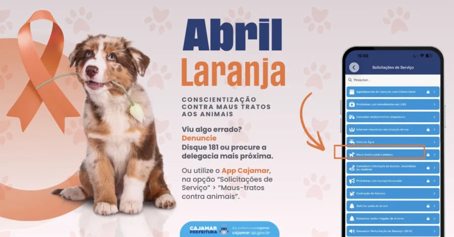 Campanha Abril Laranja ganha força e orienta população sobre crimes contra animais e canais de denúncia acessíveis