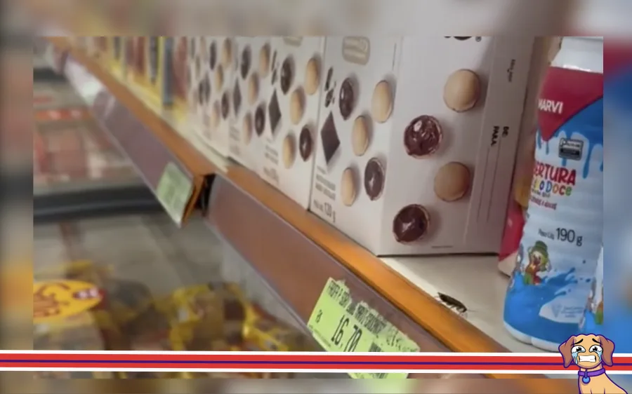 A circulação de uma barata entre produtos expostos à venda em um supermercado no centro de Caieiras chamou a atenção e provocou indignação entre consumidores. As imagens, registradas durante o atendimento ao público, rapidamente viralizaram. Em resposta, o Supermercado Federzoni reconheceu o ocorrido, reforçou suas medidas de higiene e destacou sua trajetória na cidade, afirmando que o caso não reflete seu padrão de qualidade.