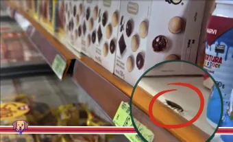 Caieiras: Barata viva entre produtos a venda revolta clientes e gera manifestação do mercado