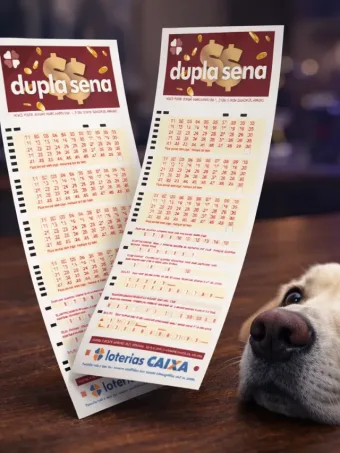 Resultado Dupla Sena 2954 sai hoje; veja números sorteados