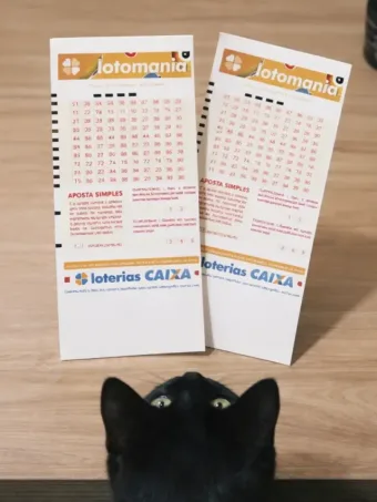 Resultado Lotomania 2918 acumula e próximo prêmio chega a R$ 1 milhão