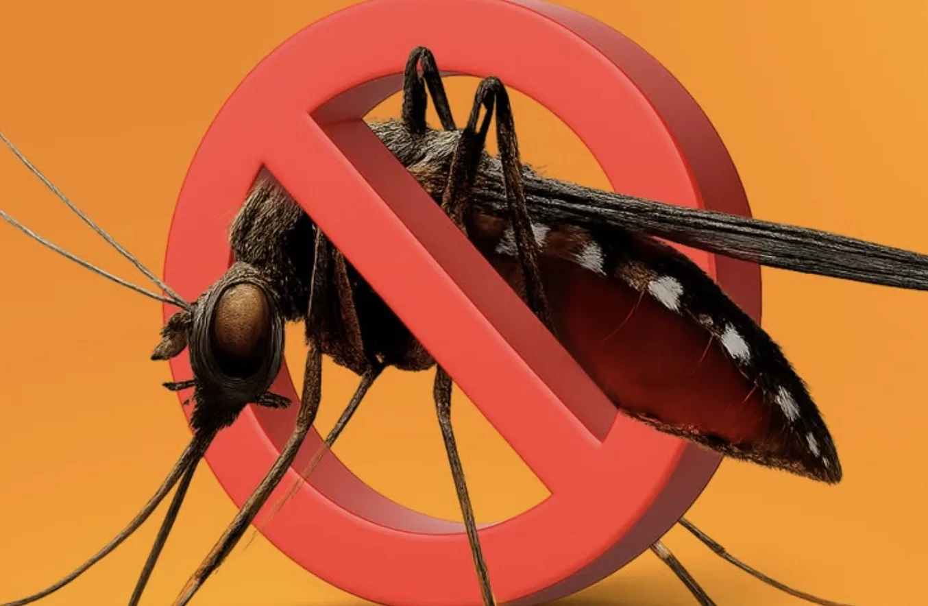 Você pode estar ajudando o mosquito da dengue sem perceber, e esse mutirão em Itapevi promete revelar o que ninguém vê em casa