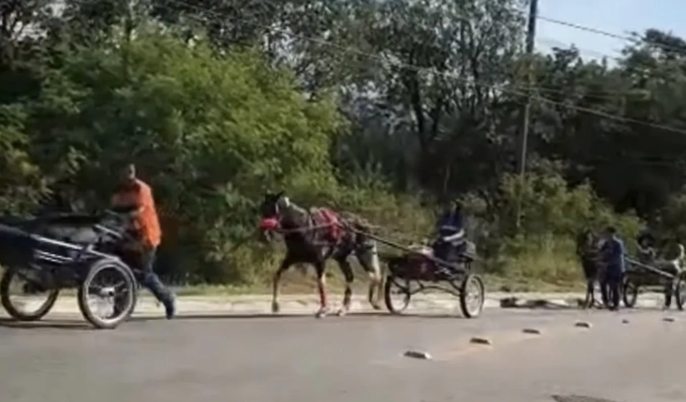 Operação gigante durante romaria em Araçariguama revela bastidores da segurança