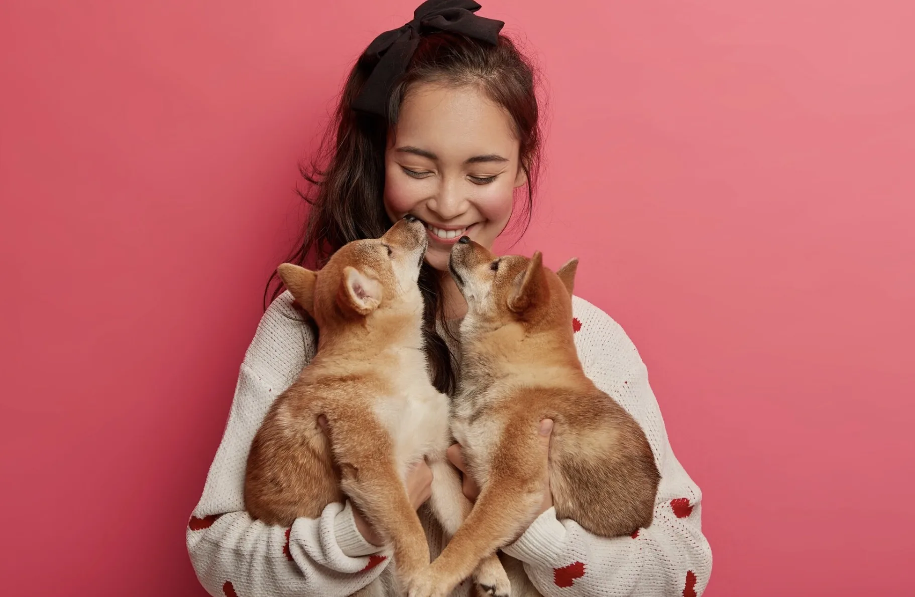 Como identificar sinais de câncer em pets: entenda os sintomas silenciosos e o que observar no dia a dia