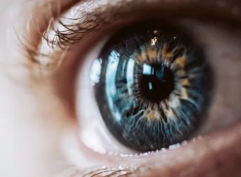 26 de maio é Dia Nacional do Glaucoma: entenda por que exames oftalmológicos são essenciais para evitar perda de visão