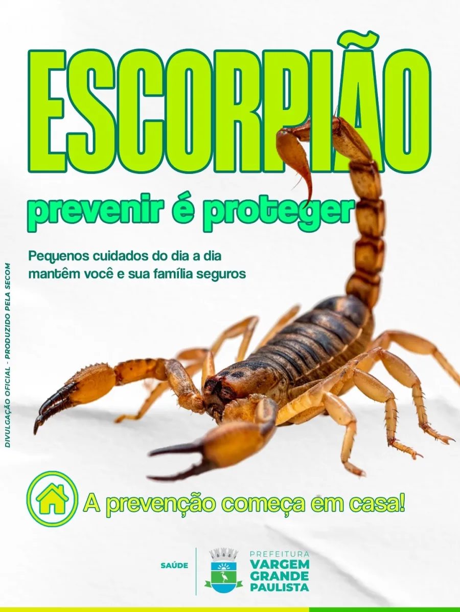 Escorpião em casa: veja como prevenir acidentes e reduzir riscos no ambiente doméstico