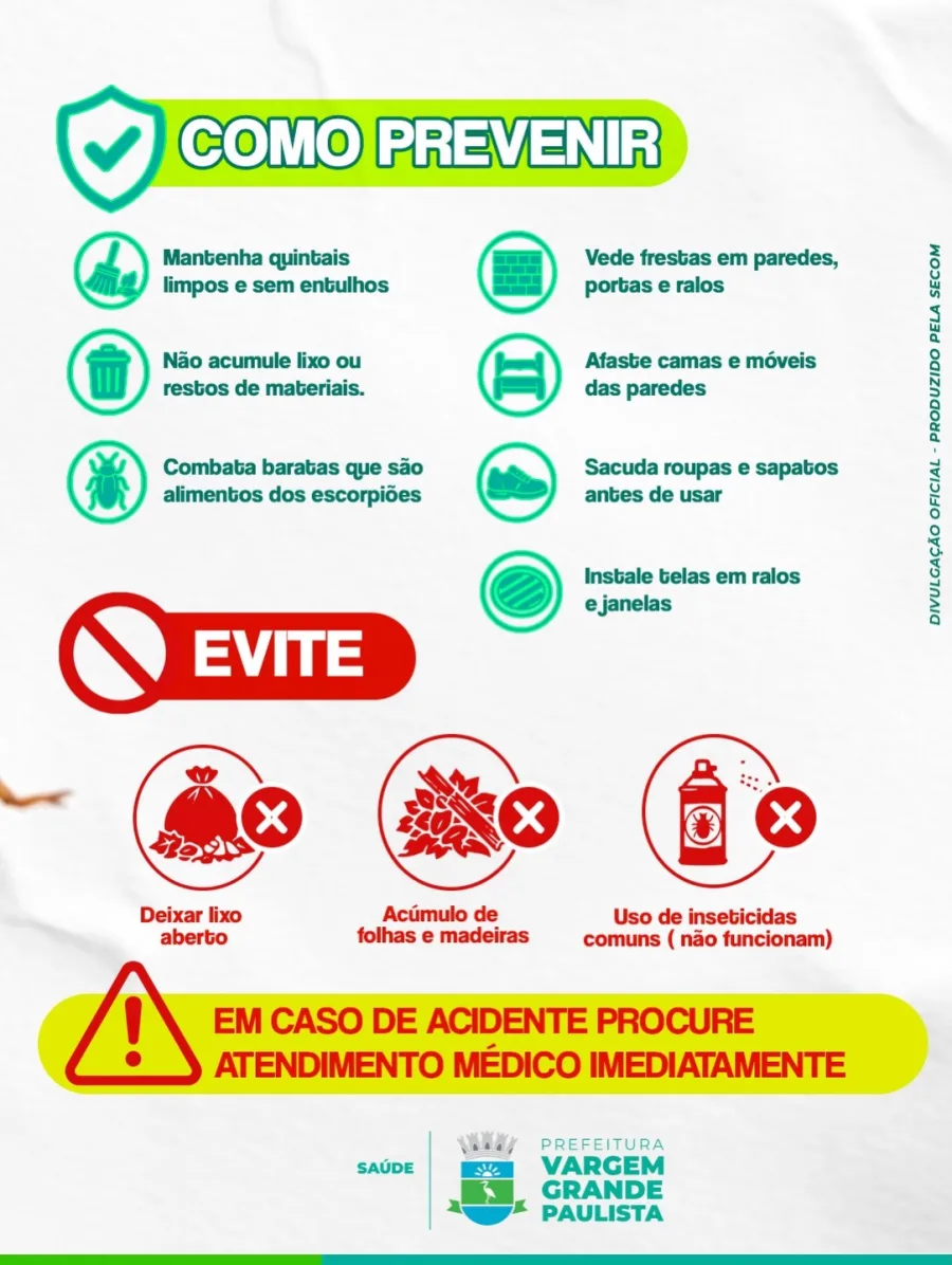 Os escorpiões se adaptam com facilidade ao ambiente urbano e encontram abrigo em locais com acúmulo de materiais, frestas e pontos de acesso ao interior das casas. A prevenção, nesse contexto, depende diretamente de hábitos cotidianos e da manutenção adequada dos espaços.