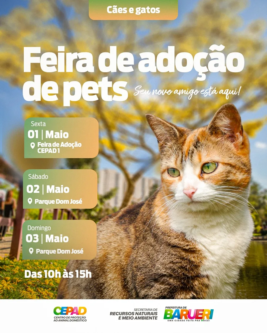Os animais disponíveis são acompanhados pelo Centro de Proteção ao Animal Doméstico e aguardam por novos lares, dentro de uma ação voltada à conscientização e ao incentivo à adoção responsável.