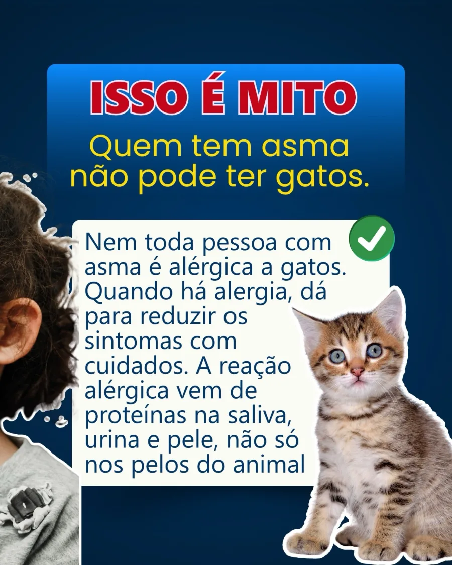 Nem toda pessoa com asma é alérgica a gatos, e mesmo com alergia é possível reduzir sintomas com cuidados e orientação correta.