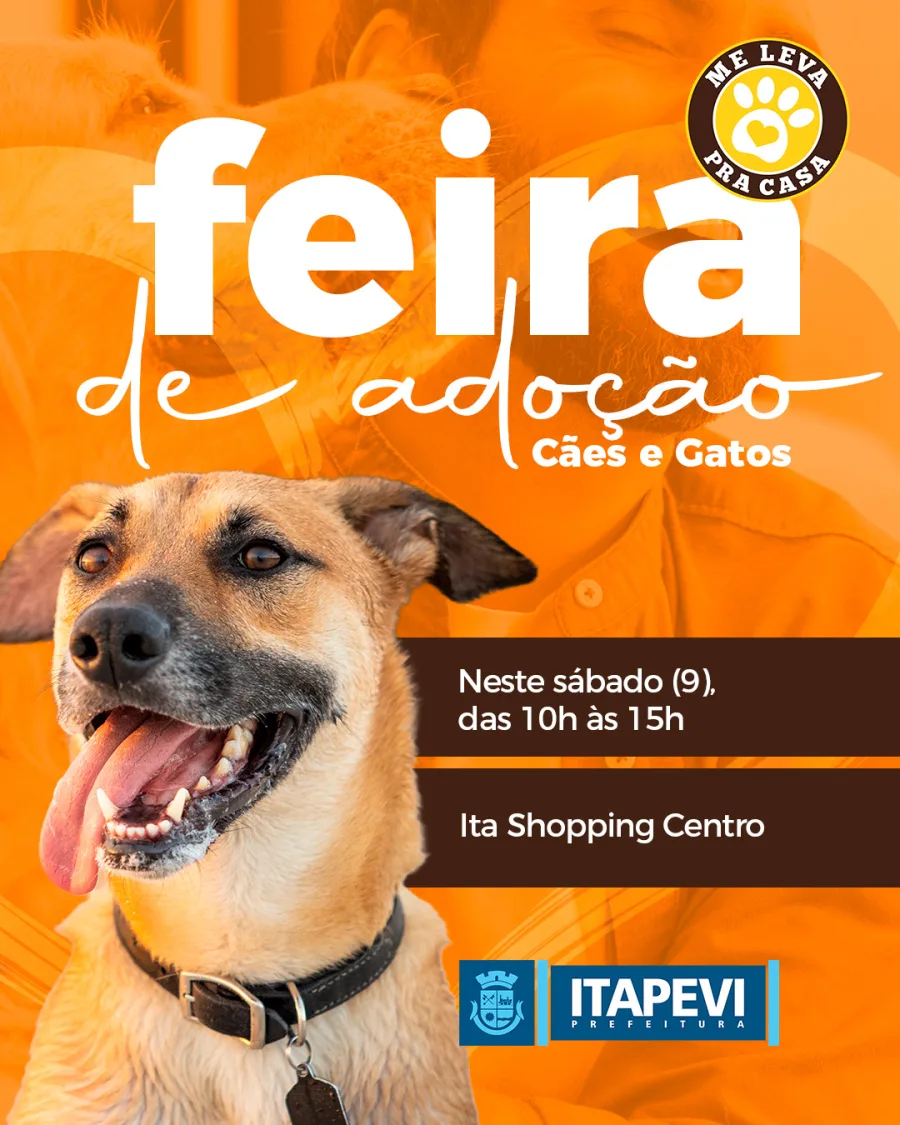 Segundo a prefeitura, todos os pets disponíveis passaram por avaliação clínica e receberam os cuidados veterinários necessários antes da liberação para adoção.
