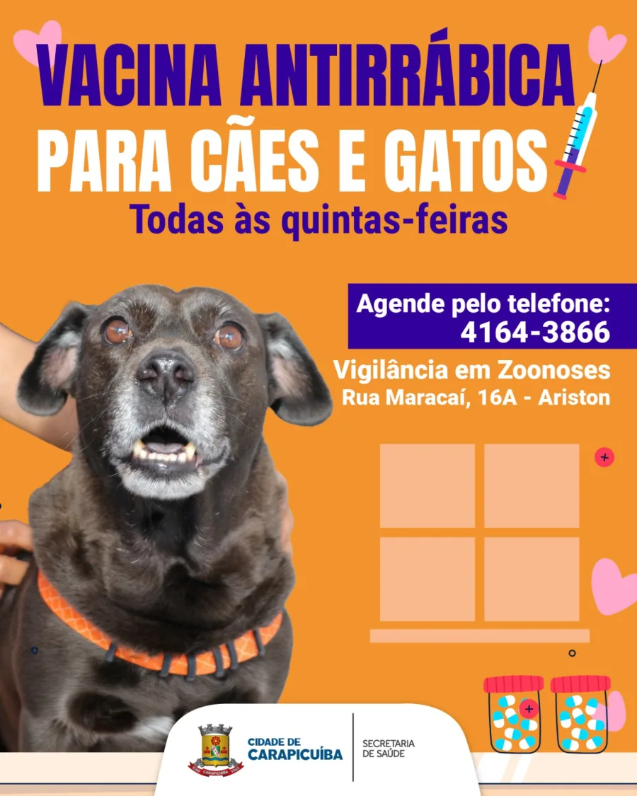 O atendimento ocorre todas as quintas-feiras na Vigilância em Zoonoses, no bairro Ariston, mediante agendamento por telefone feito diretamente com a equipe municipal.