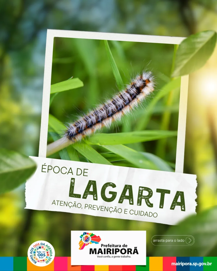 Lagartas aumentam em Mairiporã com avanço do clima úmido, e prefeitura alerta moradores sobre riscos de alergias e irritações.