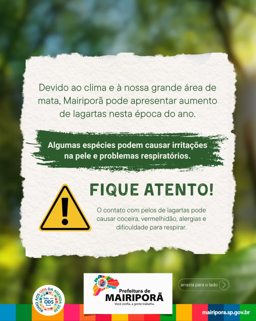 Prefeitura de Mairiporã emitiu alerta após crescimento da presença de lagartas em áreas verdes e bairros próximos da mata.