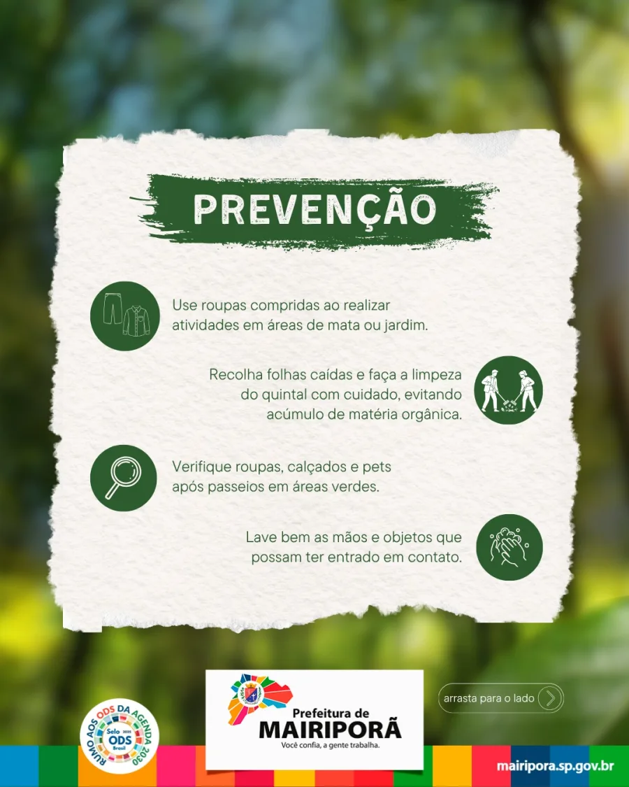 Mairiporã entrou em alerta após aumento de lagartas em áreas de mata. Algumas espécies causam alergias e irritações na pele.