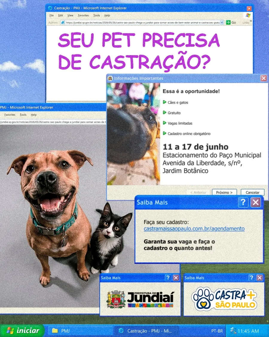 Jundiaí receberá em junho uma ação gratuita de castração para cães e gatos por meio do programa estadual Castra+ São Paulo.