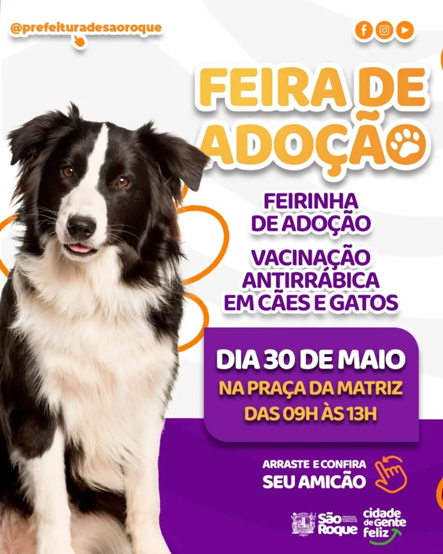São Roque promove feira de adoção e vacinação antirrábica para cães e gatos neste sábado