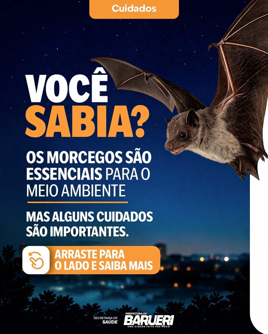 Morcegos exercem papel fundamental no equilíbrio ambiental, ajudando na dispersão de sementes, polinização e controle de insetos. Conhecer seus hábitos é essencial para conviver com segurança.