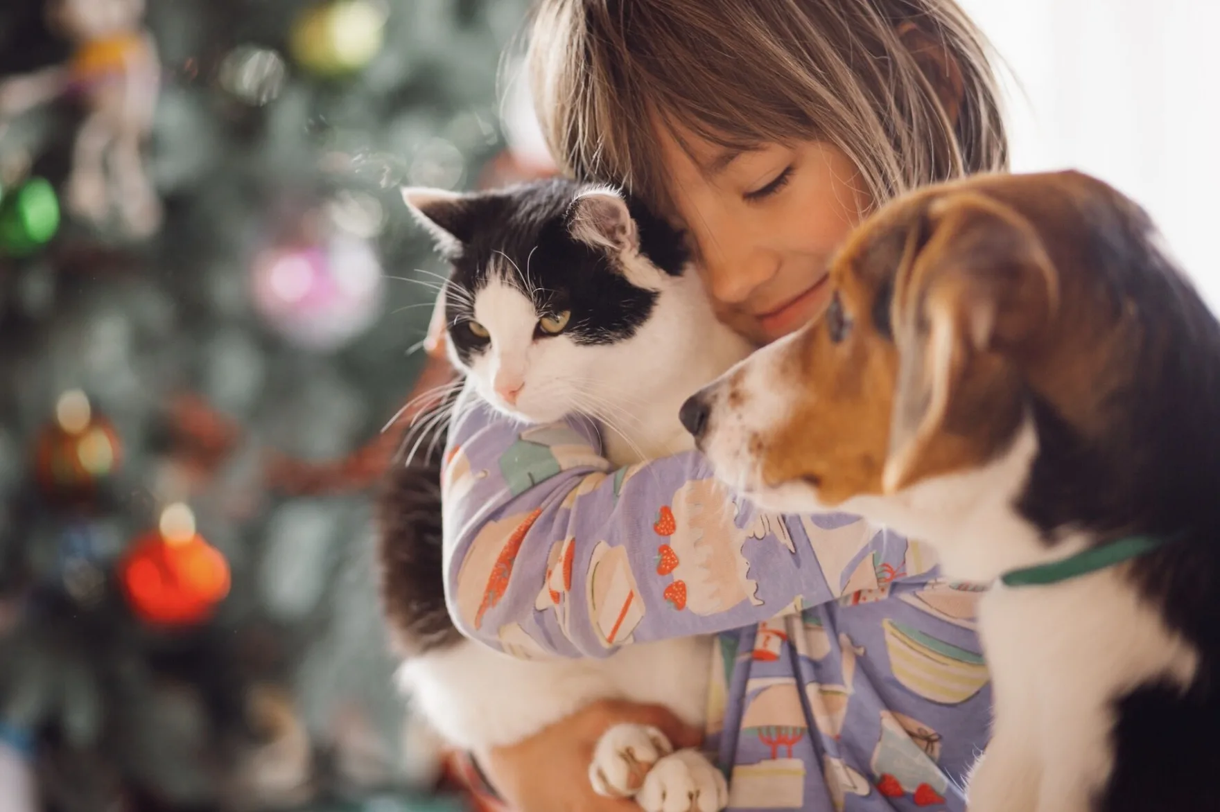 Barueri promove ação para adoção de cães e gatos em parques e unidade municipal neste fim de semana