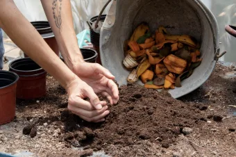 Você joga fora restos de comida sem pensar? Evento em Mairiporã mostra como isso pode virar solução para o meio ambiente