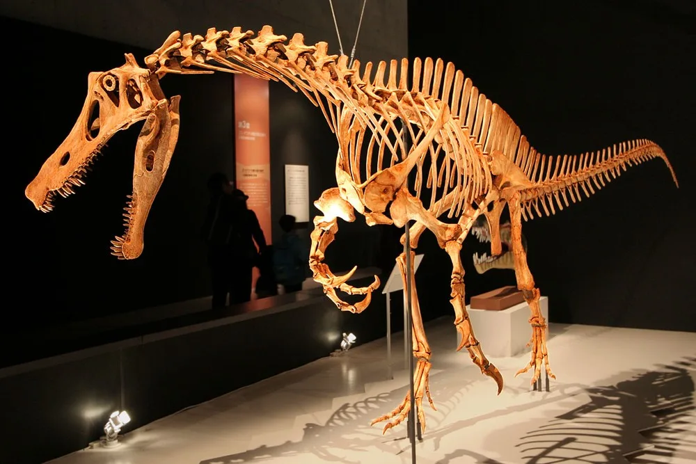 Dinossauro brasileiro saiu do Ceará, virou peça milionária na Europa e agora pode voltar ao Brasil após pressão global