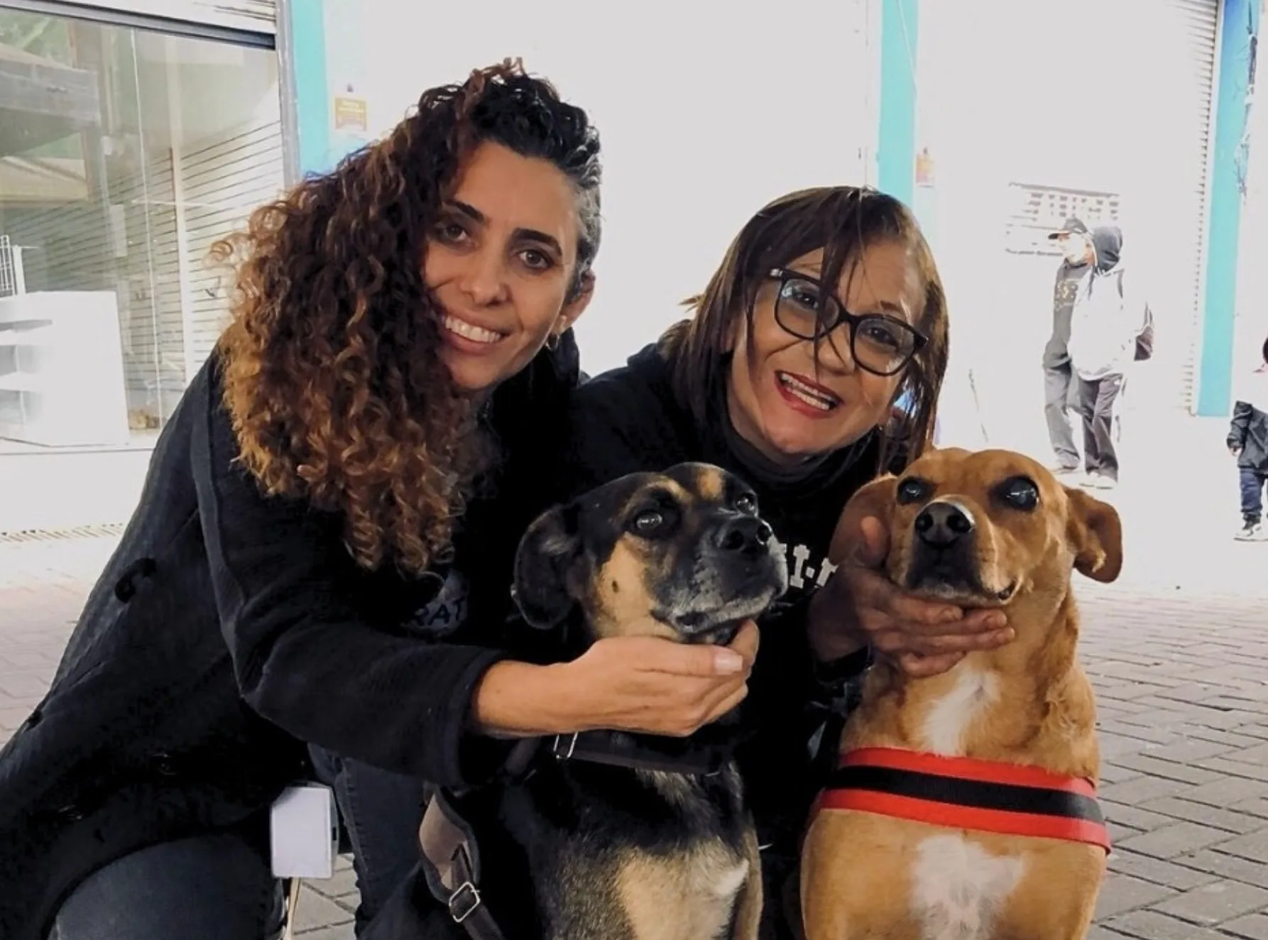 Sete animais ganharam um novo lar em Francisco Morato: A ação que uniu adoção e meio ambiente teve um resultado que chamou atenção