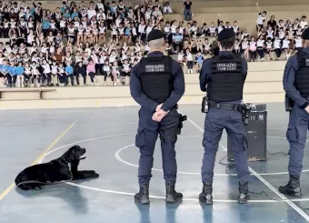 Alunos em Jundiaí aprenderam sobre maus-tratos com cães da GCM; Descubra como foi a ação que chamou atenção na EMEB Hermenegildo Martinelli Comendador