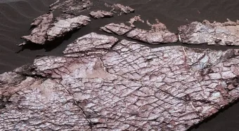 Escamas de dragão em Marte: formação geológica descoberta no planeta tem intrigado cientistas