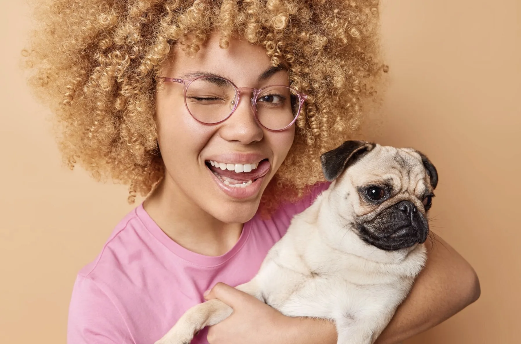Feira de adoção em Itapevi terá cães e gatos vacinados, castrados e microchipados neste sábado (09/05/2026)