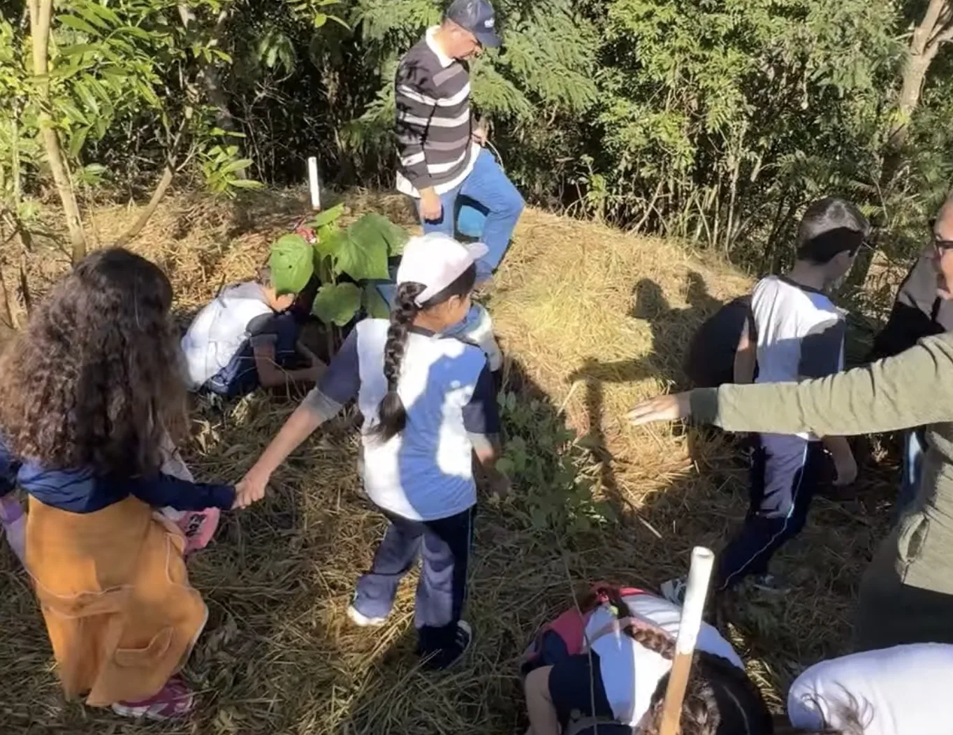 Como estudantes de Jundiaí transformaram um projeto escolar em ação ambiental no Parque Espelho D’Água