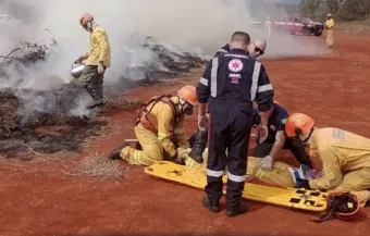 Helicóptero Águia, brigadas e cães participaram de treinamento em Parque Estadual do Juquery; Ação reuniu equipes de emergência e reforçou plano contra incêndios florestais