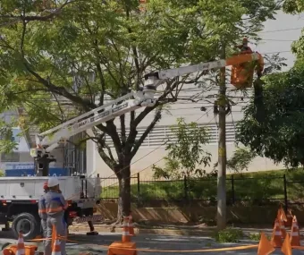 Barueri e Enel iniciam ação para evitar quedas de árvores e interrupções de energia após chuvas