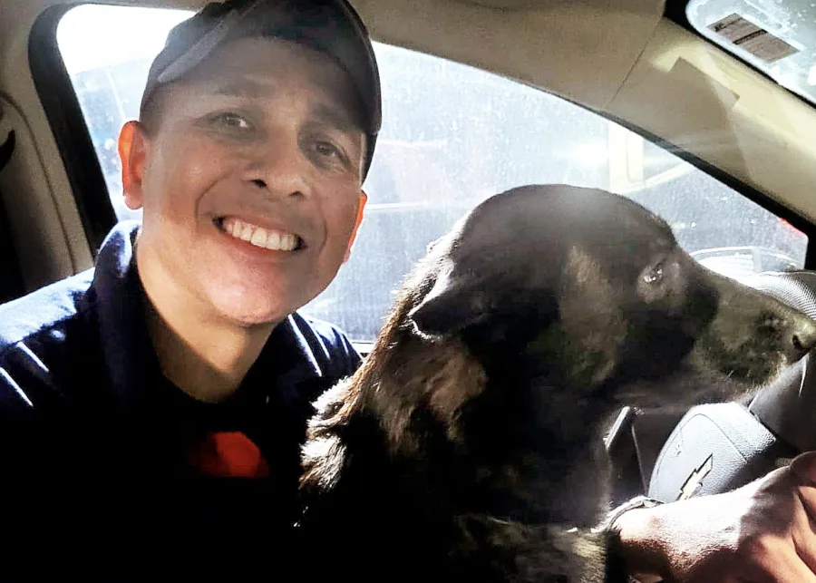 Fim do canil da GCM de Piracicaba muda vida de cães que passaram anos em operações; fotos mostram nova rotina