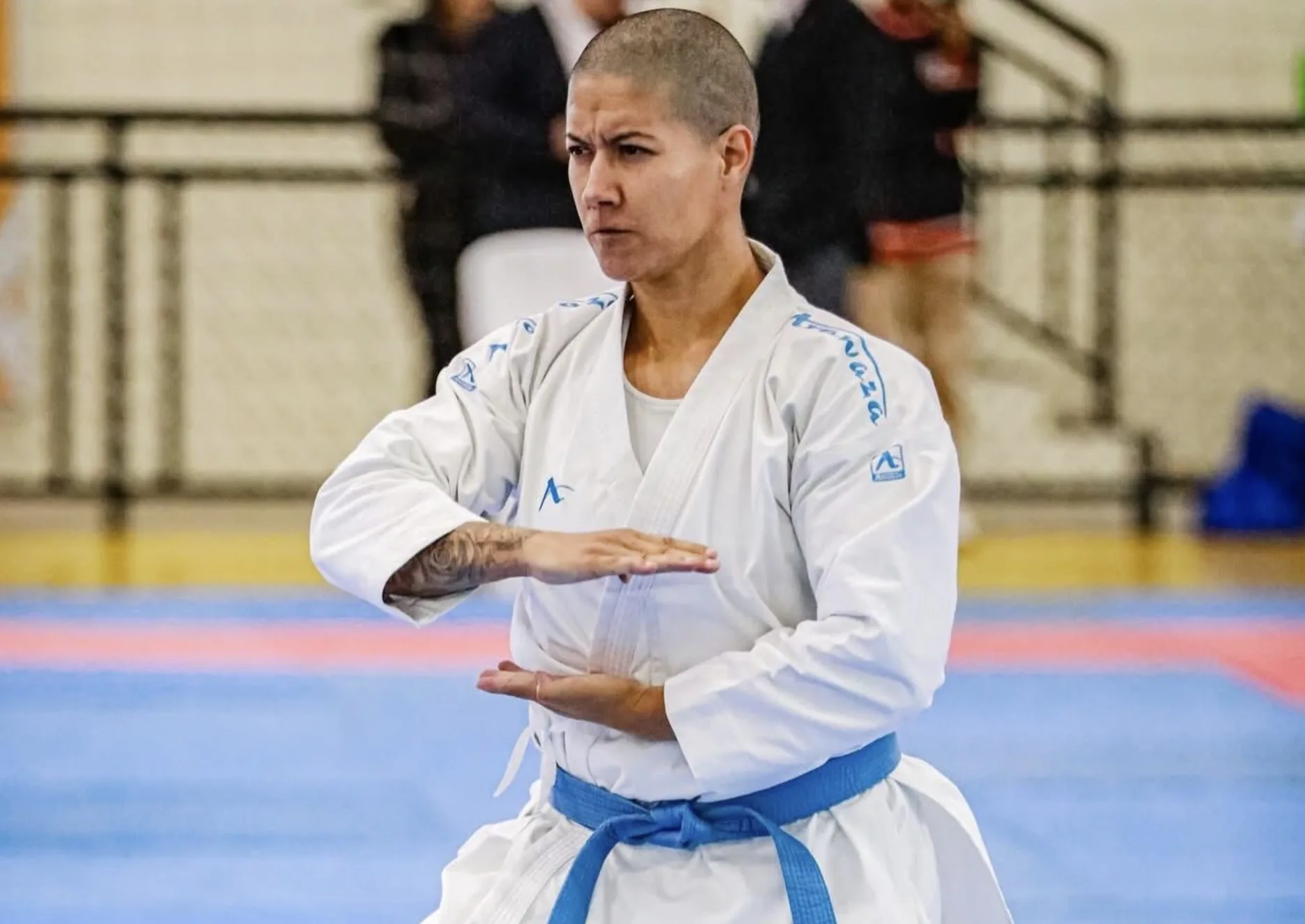 Santana de Parnaíba recebeu as finais do Campeonato Paulista de Karatê com atletas de diversas regiões e disputas nas categorias individual e master