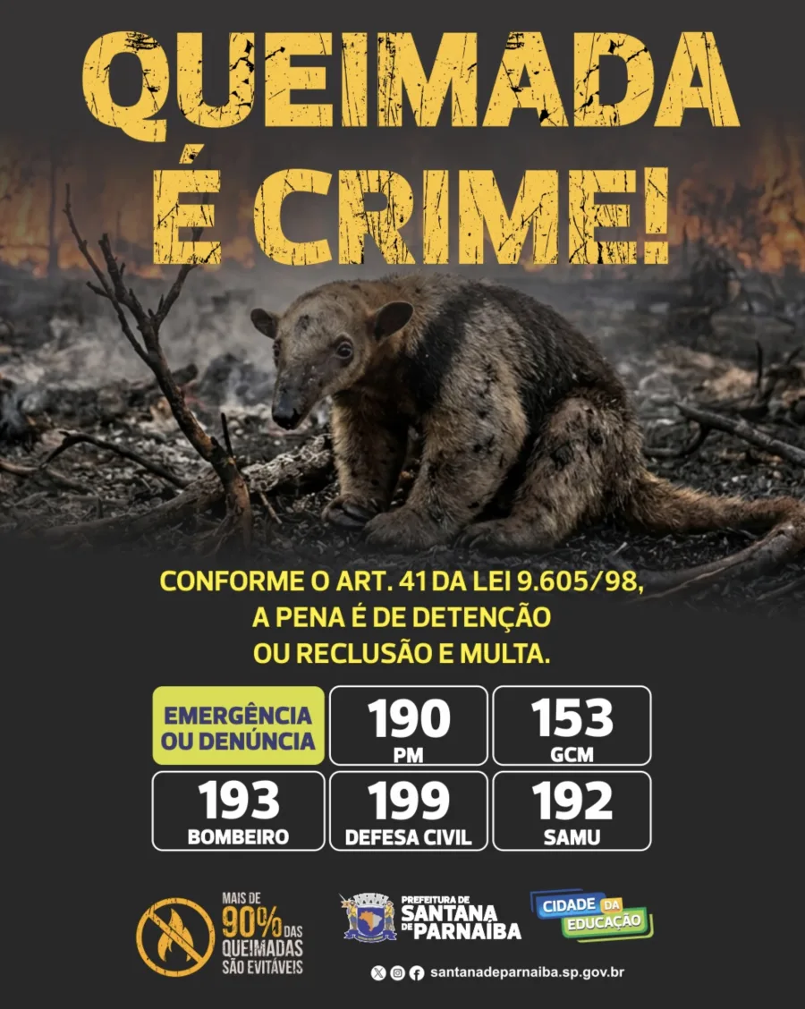 A cidade reforçou que provocar queimadas é crime ambiental e destacou os impactos do fogo para o meio ambiente, saúde pública e segurança da população.