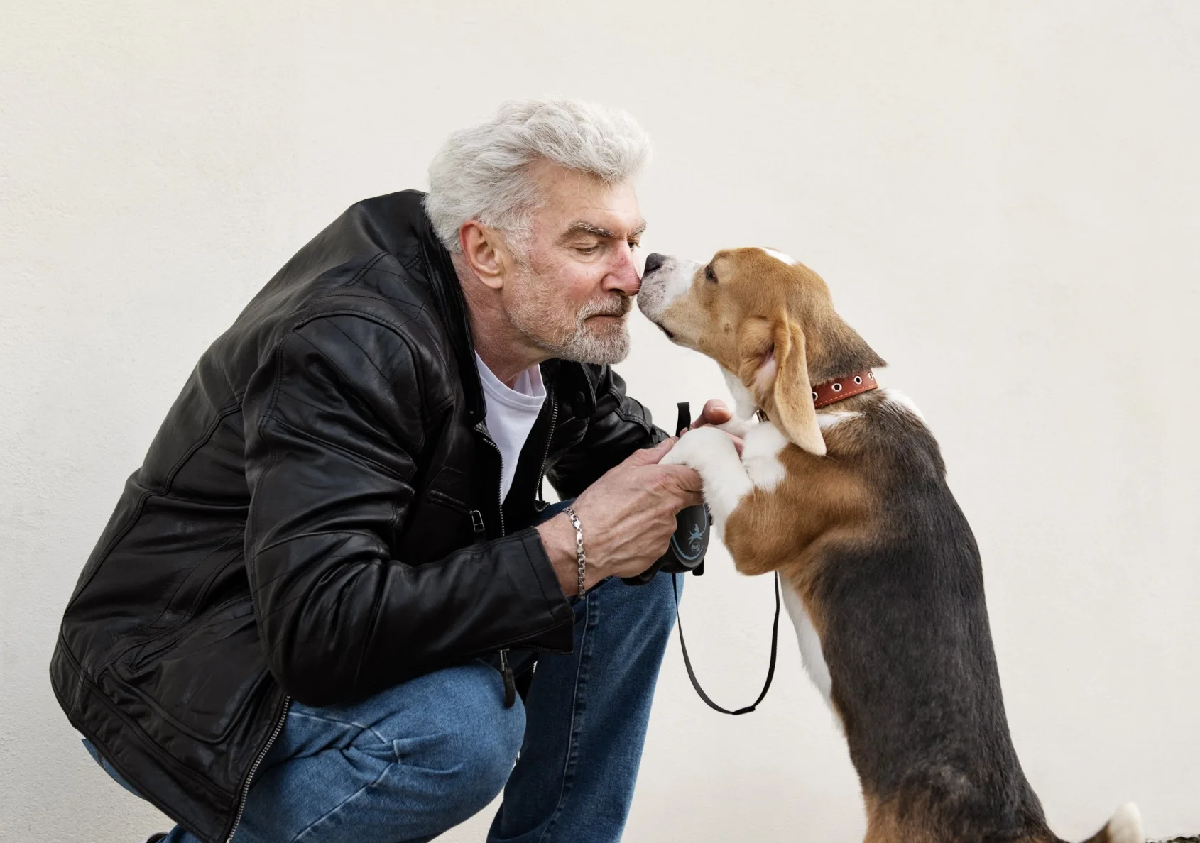 Cachorro começa a esquecer a própria casa? Cientistas revelam os sinais ocultos do Alzheimer canino