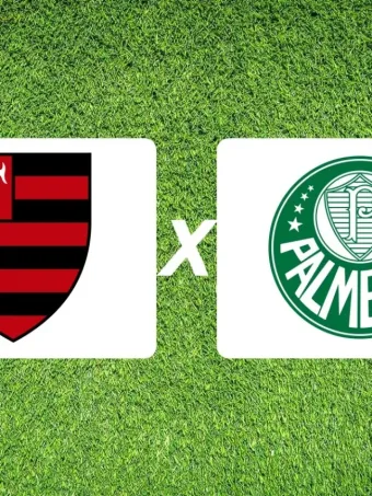Onde assistir flamengo x sociedade esportiva palmeiras